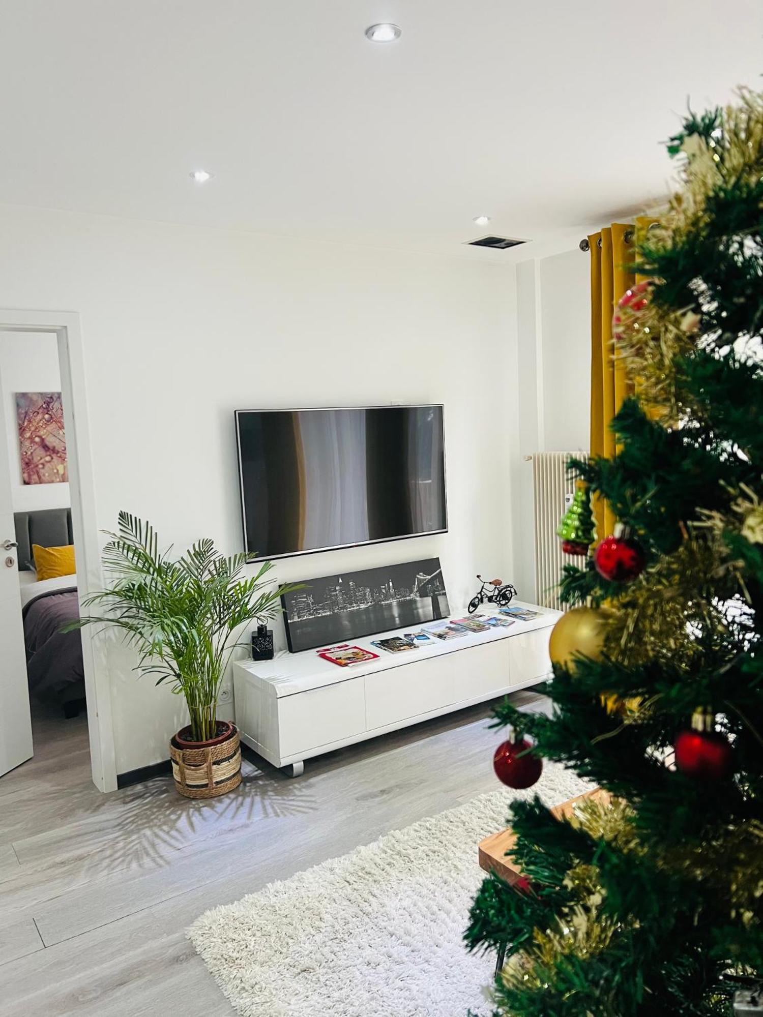 Superbe Appartement Lumineux Avec Parking Gratuit Венценайм Екстер'єр фото